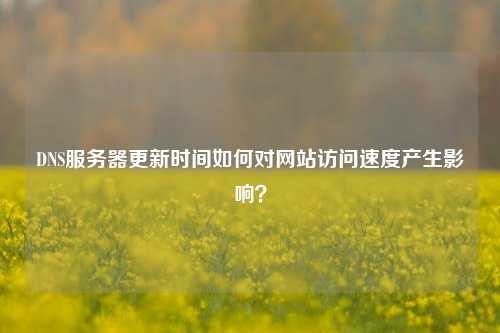 DNS服務器更新時間如何對網站訪問速度產生影響？