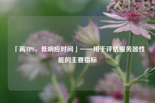 「高TPS，低響應(yīng)時間」——用于評估服務(wù)器性能的主要指標(biāo)