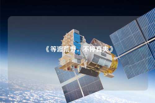 《等渡荒野，不停真爽》
