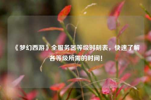 《夢幻西游》全服務(wù)器等級時(shí)刻表，快速了解各等級所需的時(shí)間！