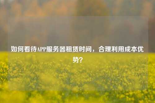 如何看待APP服務(wù)器租賃時(shí)間，合理利用成本優(yōu)勢？