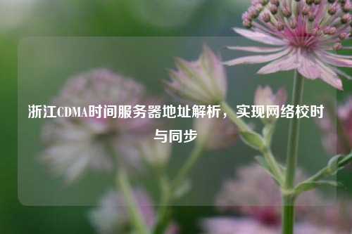 浙江CDMA時間服務器地址解析，實現(xiàn)網(wǎng)絡校時與同步