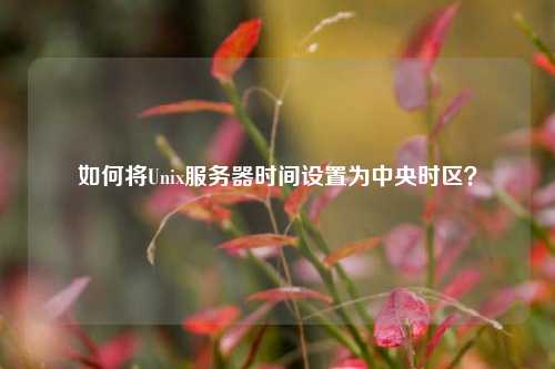 如何將Unix服務(wù)器時(shí)間設(shè)置為中央時(shí)區(qū)？