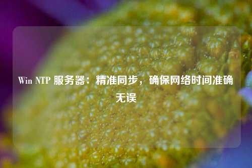 Win NTP 服務器：精準同步，確保網絡時間準確無誤
