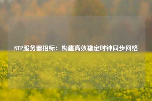 NTP服務(wù)器招標(biāo)：構(gòu)建高效穩(wěn)定時鐘同步網(wǎng)絡(luò)