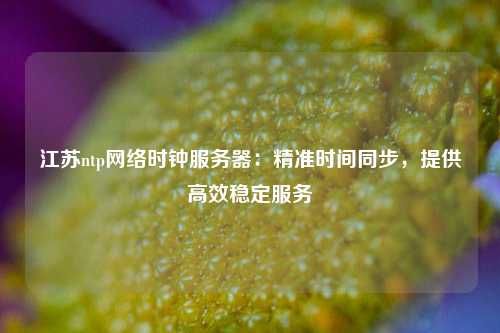 江蘇ntp網絡時鐘服務器：精準時間同步，提供高效穩定服務