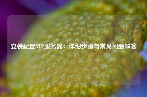 安裝配置NTP服務(wù)器：詳細步驟與常見問題解答